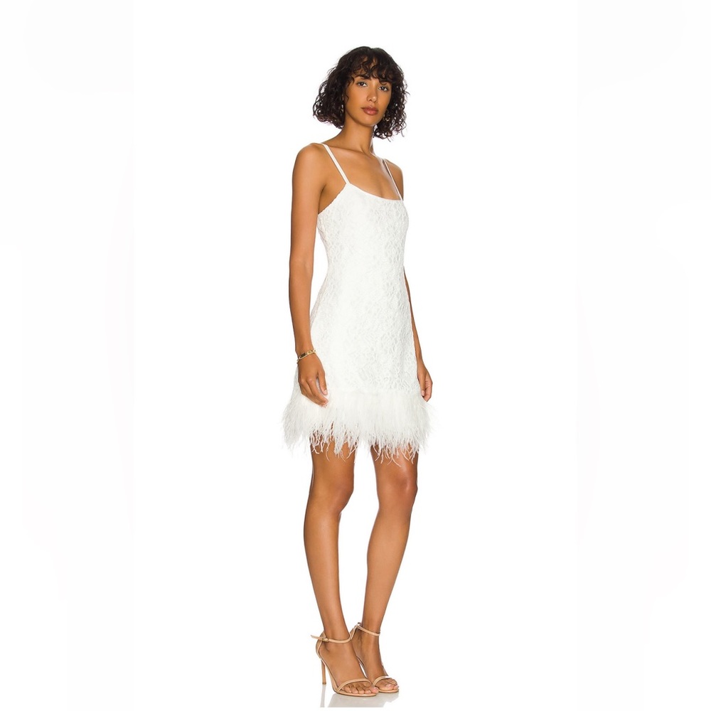 Likely lace and feather dress
